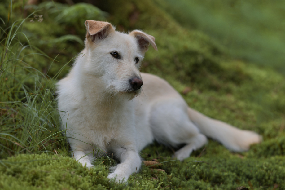 Tanja_Brandt__DSC_5747_1