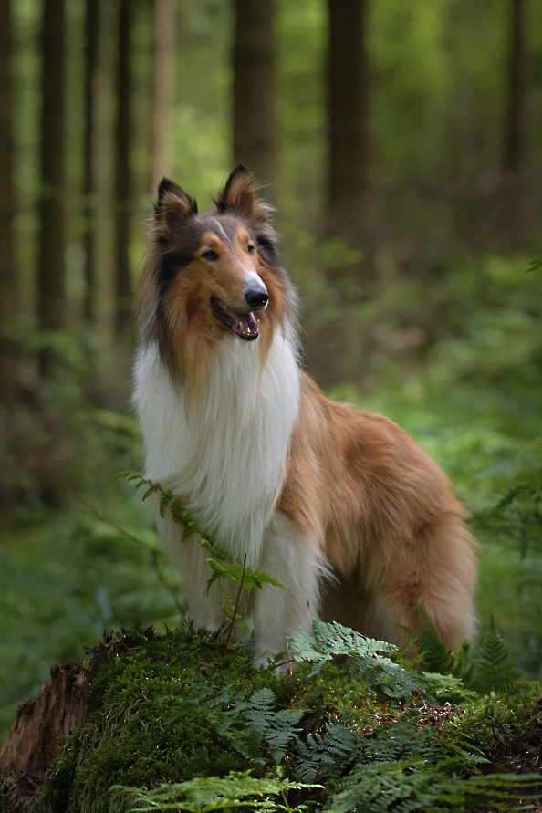 Tanja_Brandt__DSC_5918