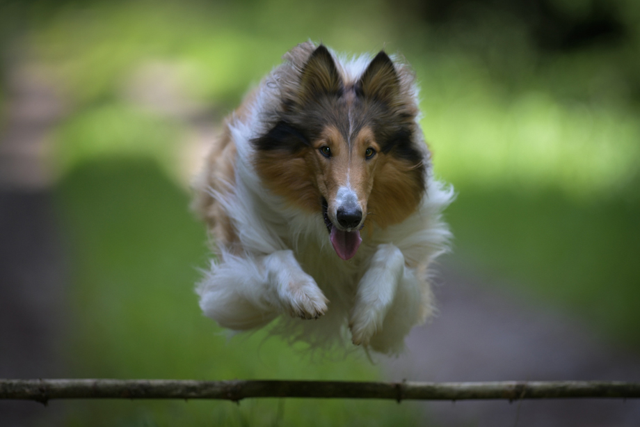 Tanja_Brandt__DSC_6626_b