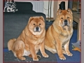 Fiete_Mama_und_Papa