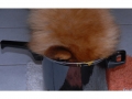 Rusty_blog1