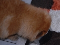 Rusty_blog2