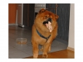 Rusty_blog5