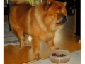 Rusty_blog6