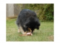 Rusty_blog8