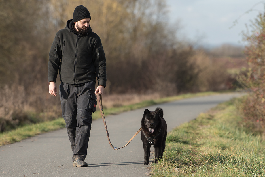 ein_hundeblog_DSC_0700