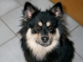 blog1