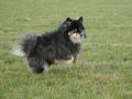 blog11