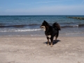 blog2