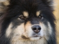 blog7