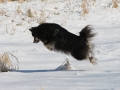 blog8