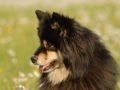 blog9