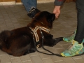 16-DSC_0765
