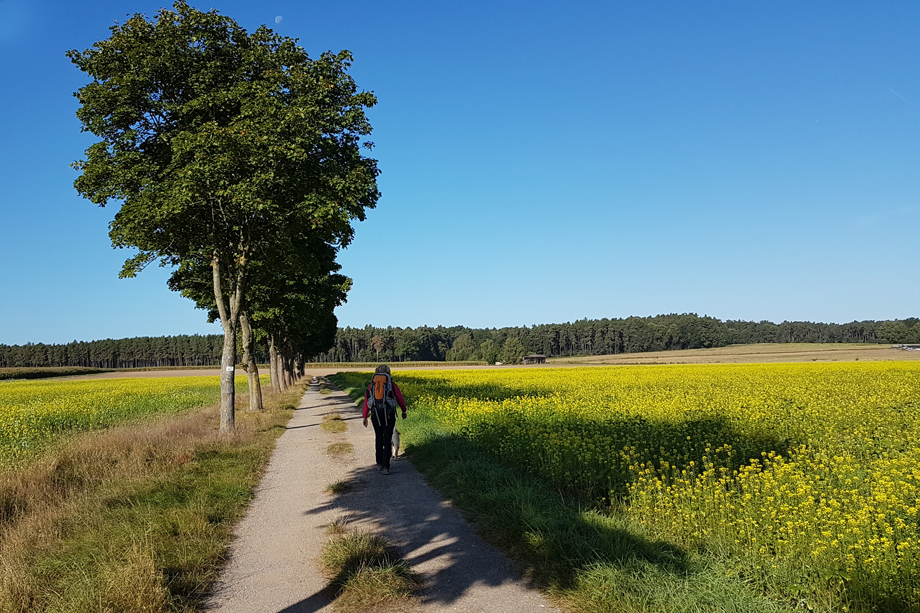 Der Seenländer Schbazls Welt