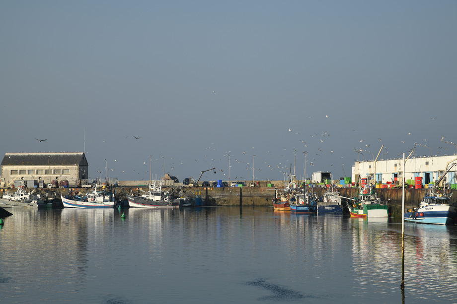 Bretagne_DSC_5561