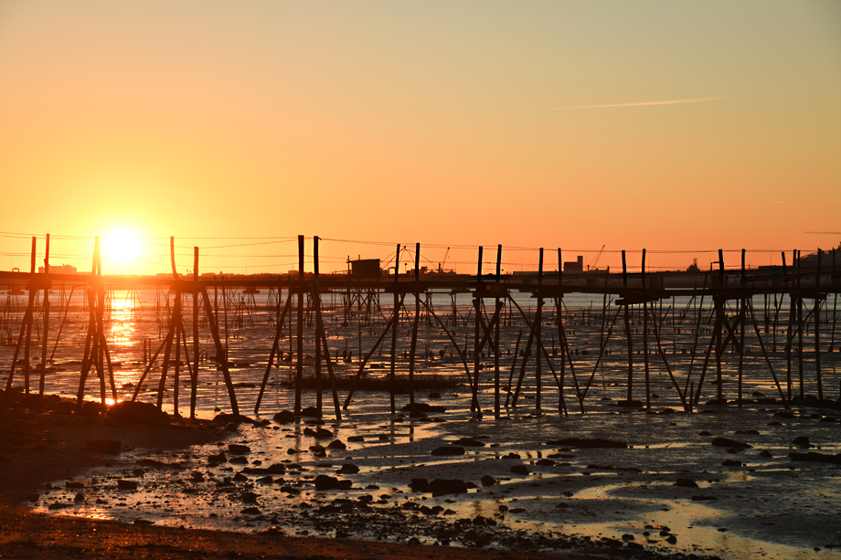 Bretagne_a_DSC_5230