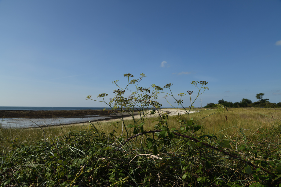 Bretagne_a_DSC_5358