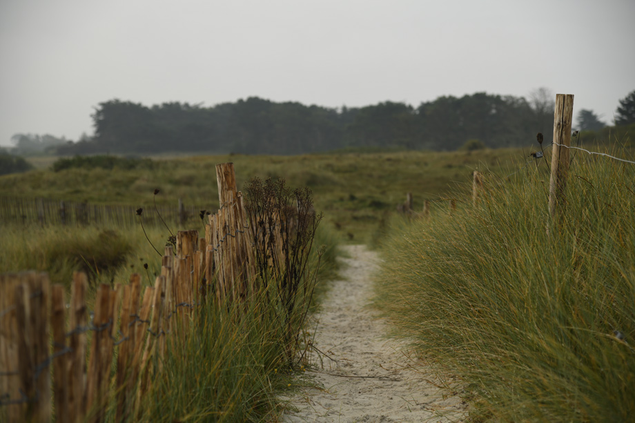Bretagne_a_DSC_5794