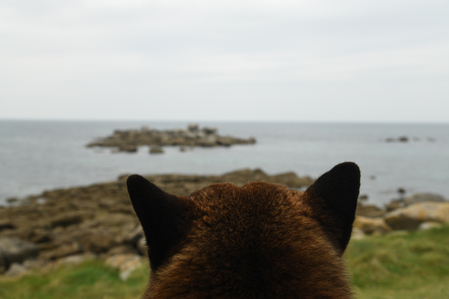 Bretagne_a_DSC_5830