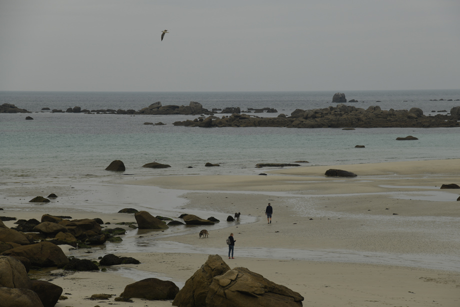 Bretagne_Strand_DSC_5840