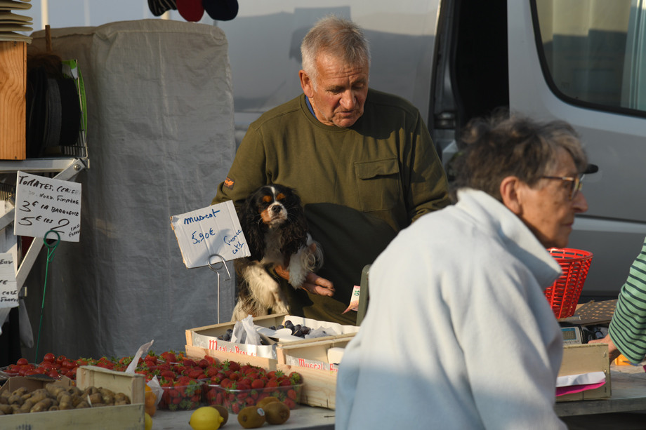 Markttag_Bretagne_DSC_5601